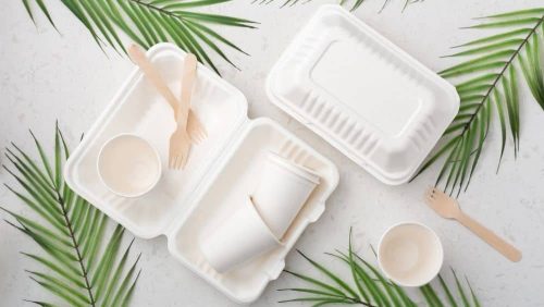 Bagasse