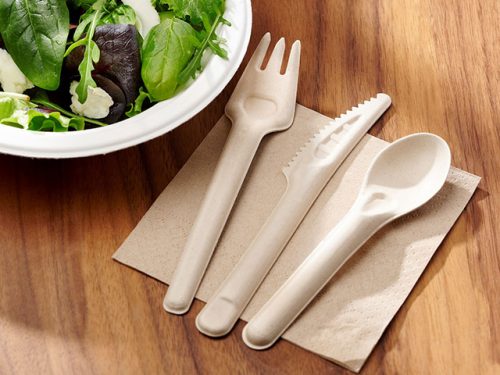 Bagasse