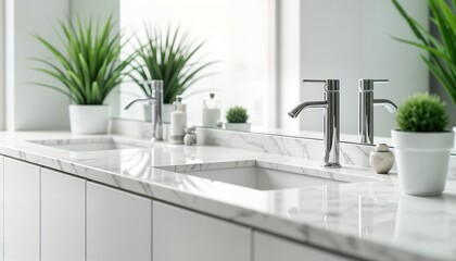 Washroom Cleaners & Descalers